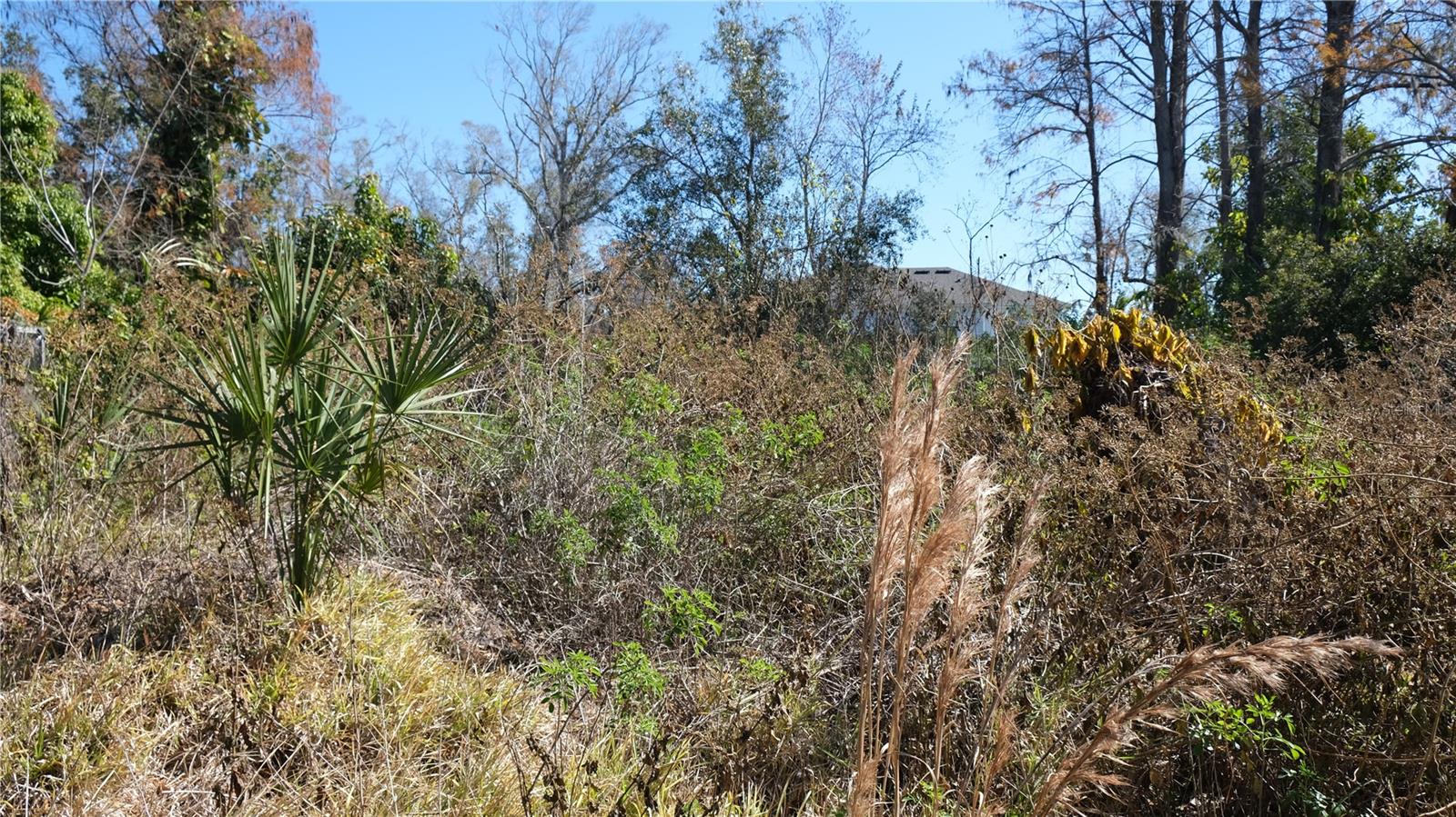 ACREAGE & UNREC - Land