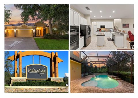 11645 BELLE HAVEN DRIVE NEW PORT RICHEY FL 34654