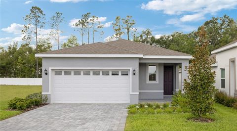 754 LEMON AVENUE FRUITLAND PARK FL 34731