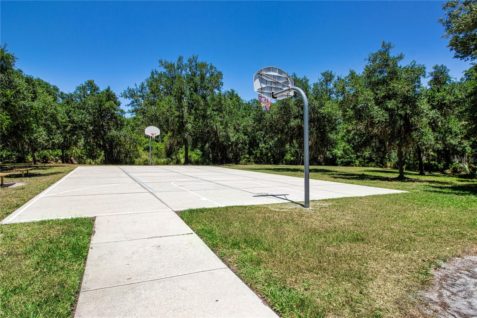 OAKLEAF HAMMOCK PH IV - Residential