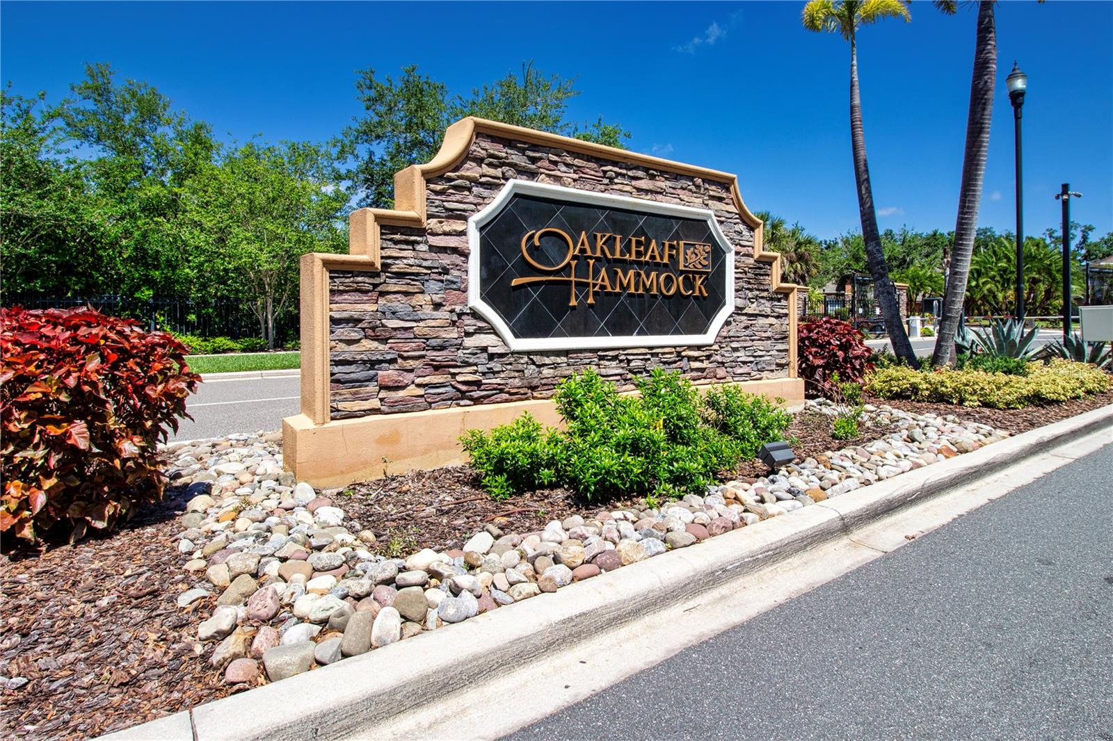 OAKLEAF HAMMOCK PH IV - Residential