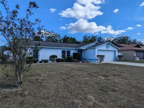 A home in DELTONA