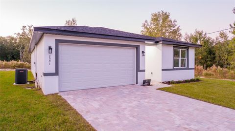 A home in CITRUS SPRINGS