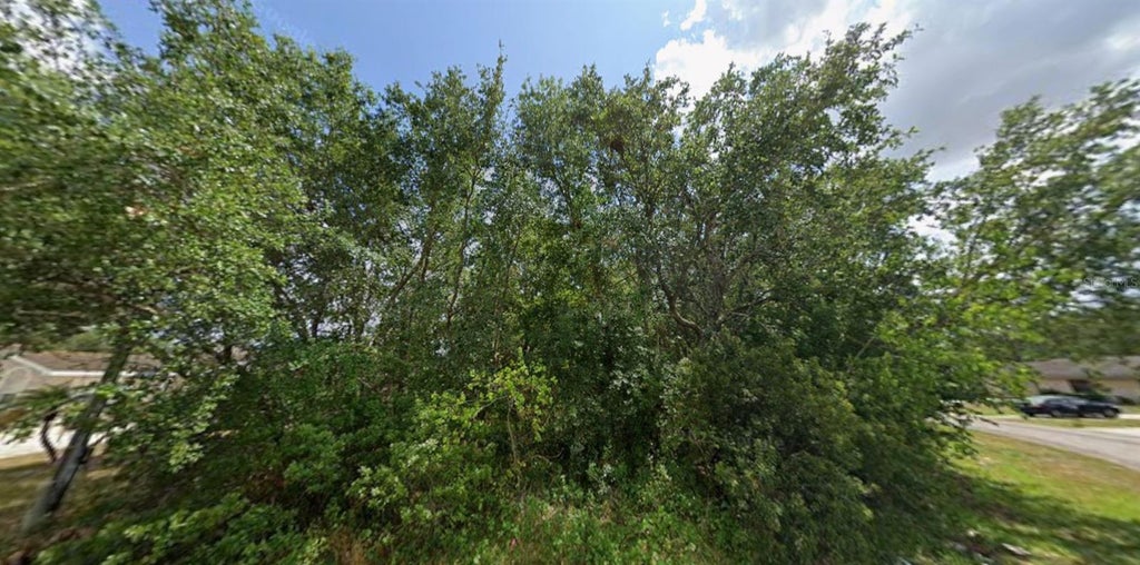 Photo of 565 Imperial Place, Kissimmee, FL 34758 (MLS # S5155148)