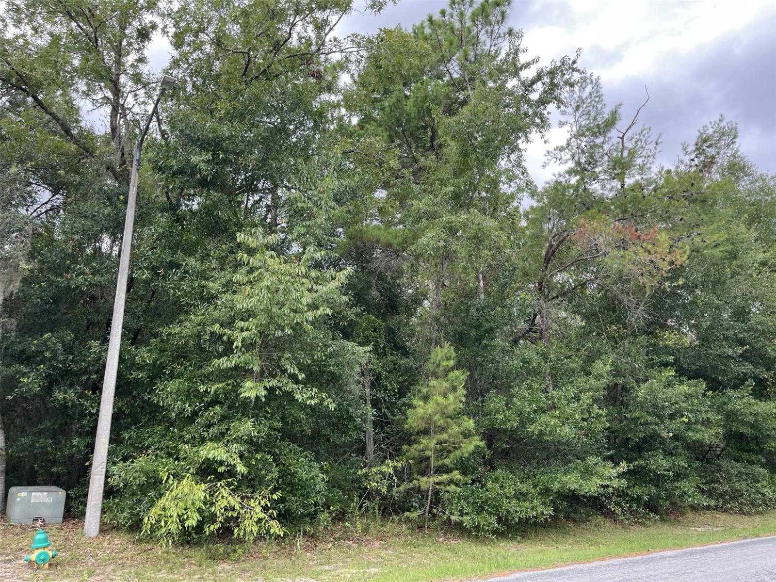 FAIRVIEW ESTATES - Land