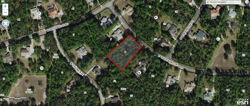 Photo of 1414 E Tradewind Drive, Hernando, FL 34442 (MLS # OM705397)