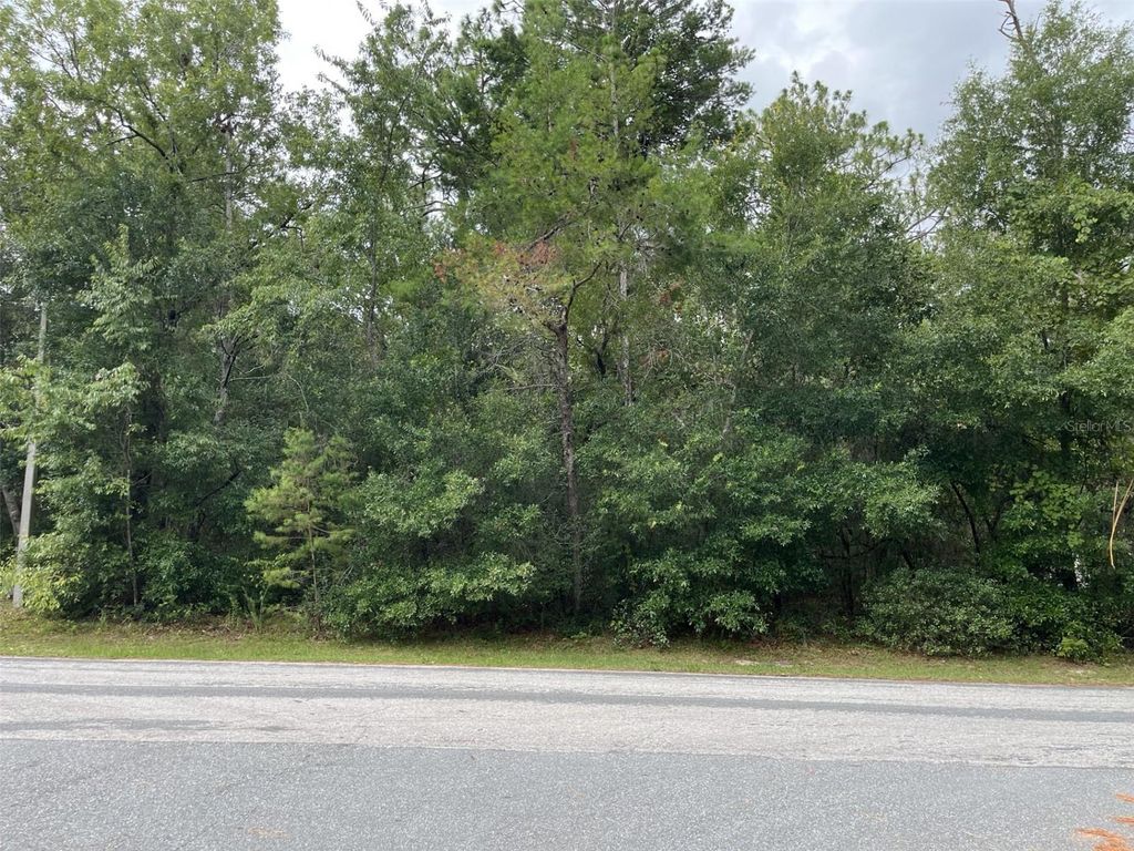 Photo of 1414 E Tradewind Drive, Hernando, FL 34442 (MLS # OM705397)