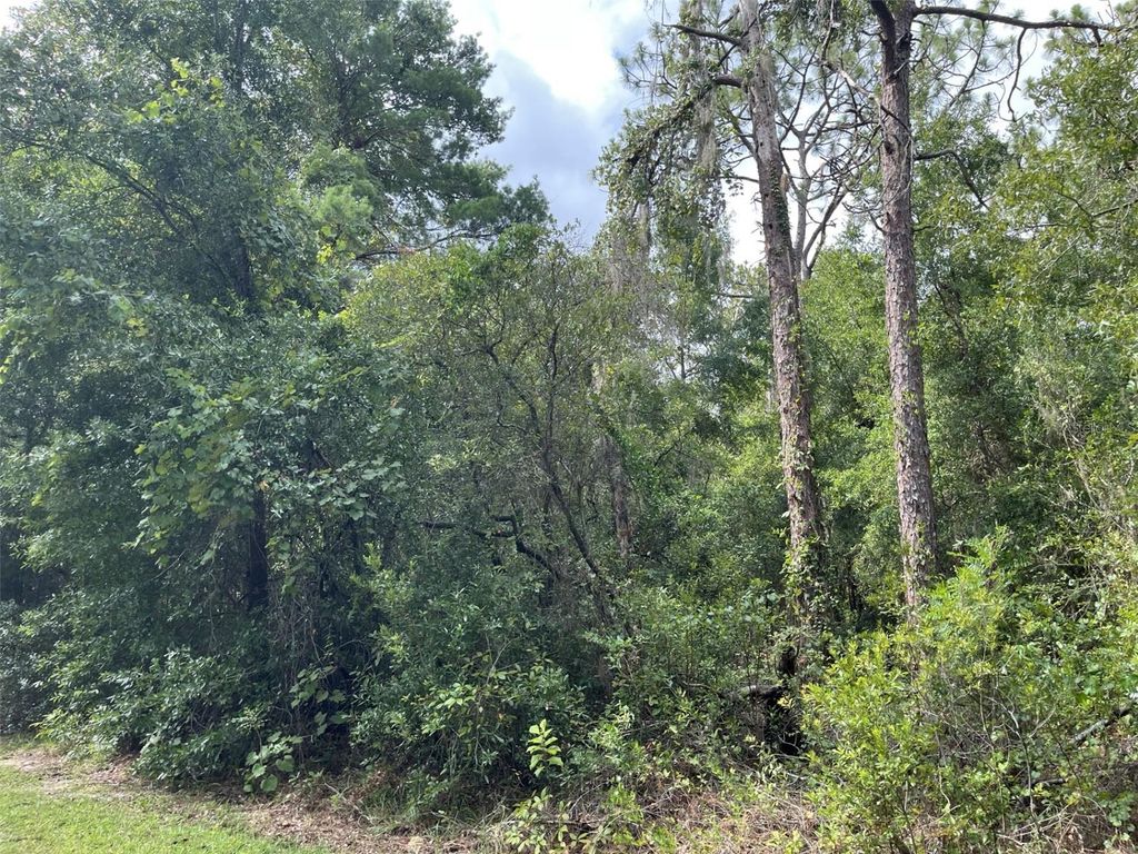 Photo of 1414 E Tradewind Drive, Hernando, FL 34442 (MLS # OM705397)
