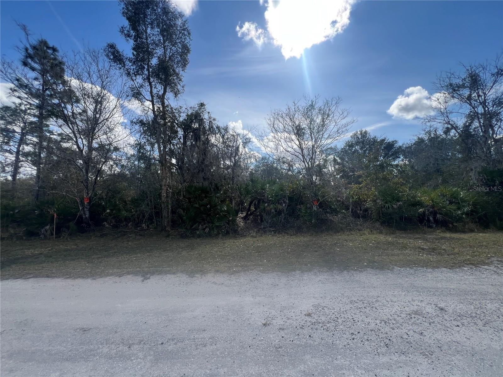 INDIAN LAKE ESTATES - Land