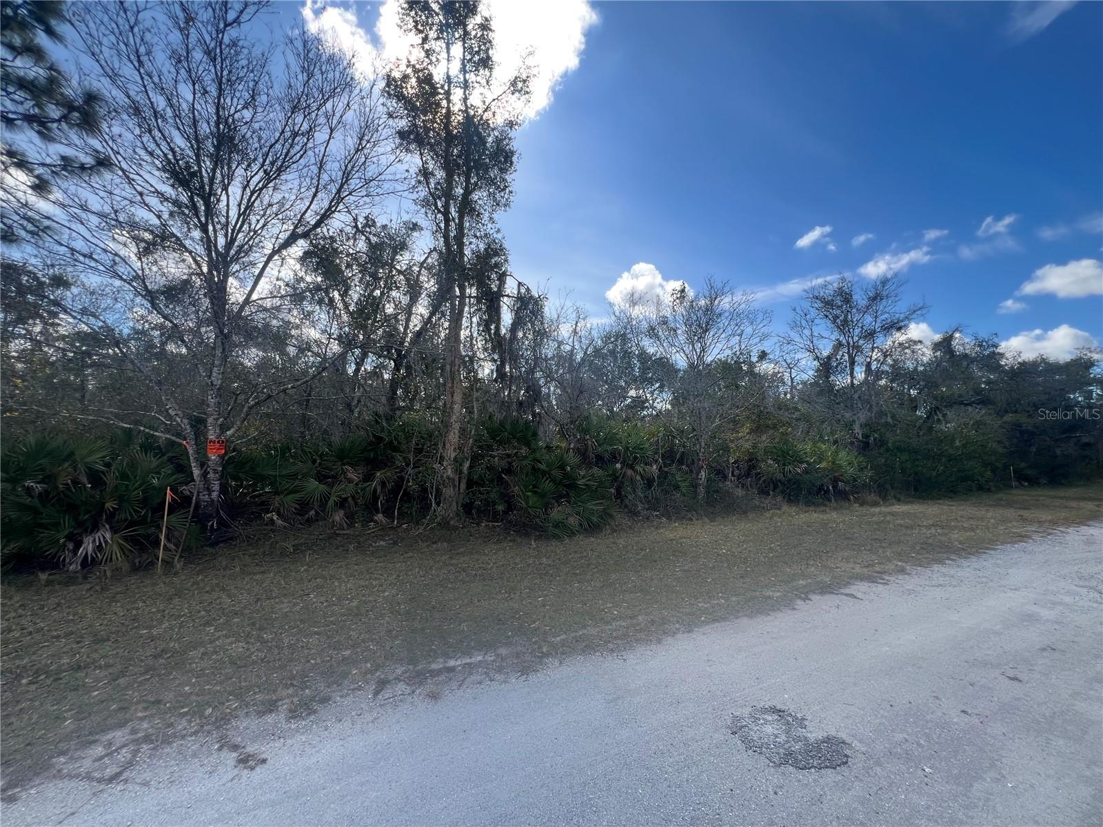 INDIAN LAKE ESTATES - Land