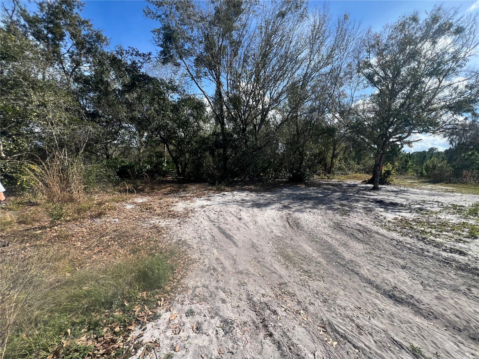 INDIAN LAKE ESTATES - Land