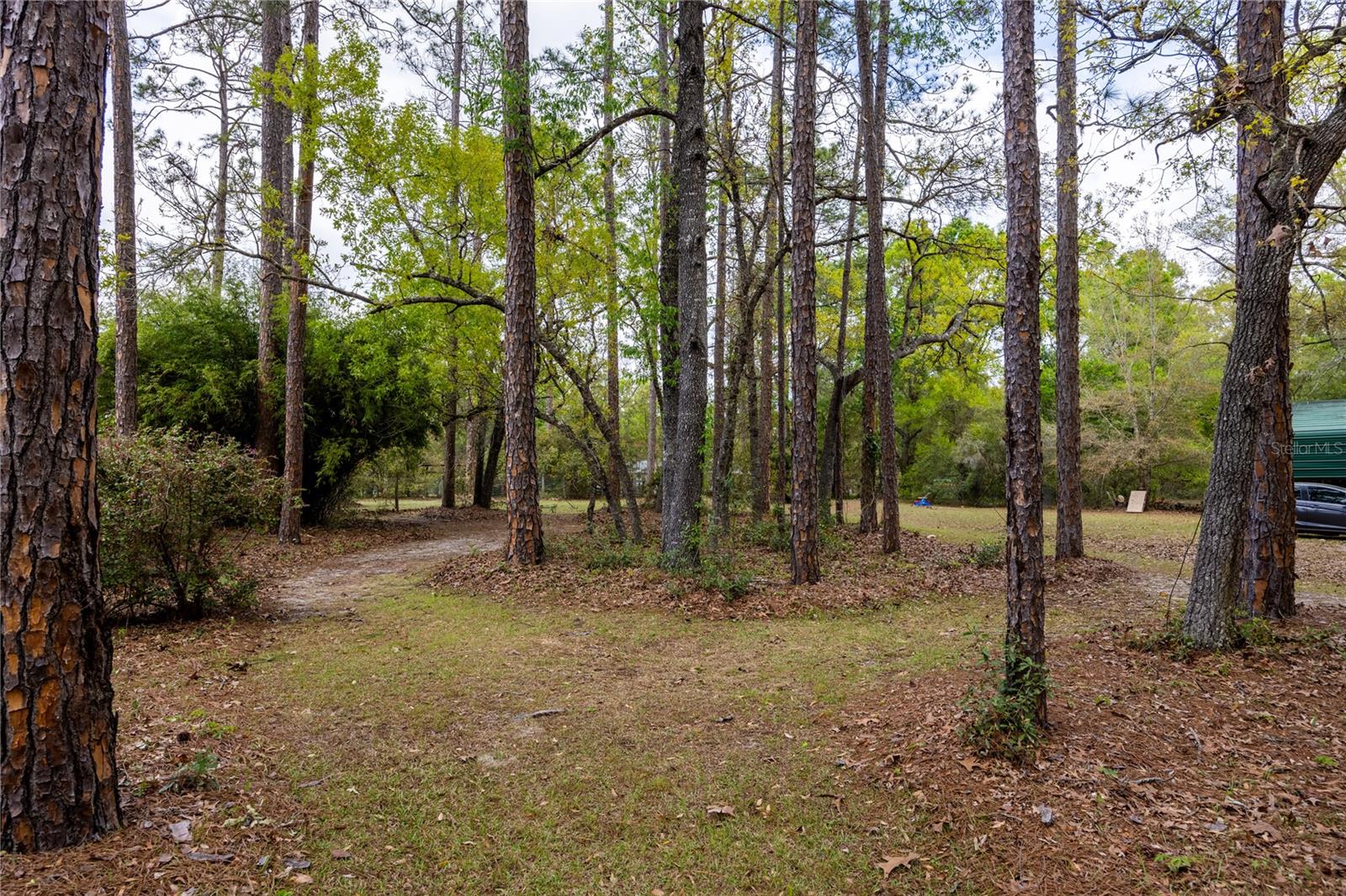 KANAPAHA PINES - Residential