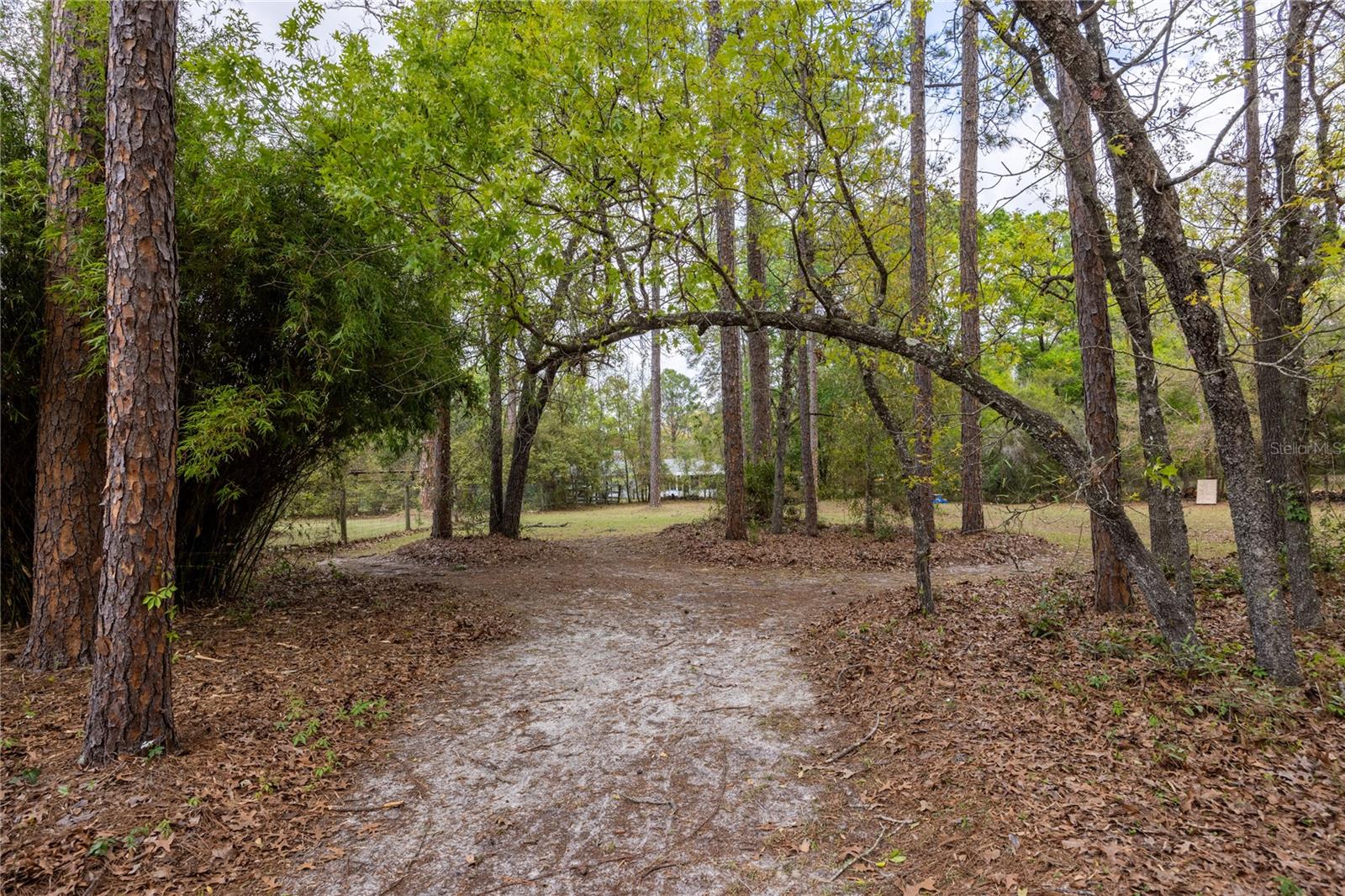 KANAPAHA PINES - Residential