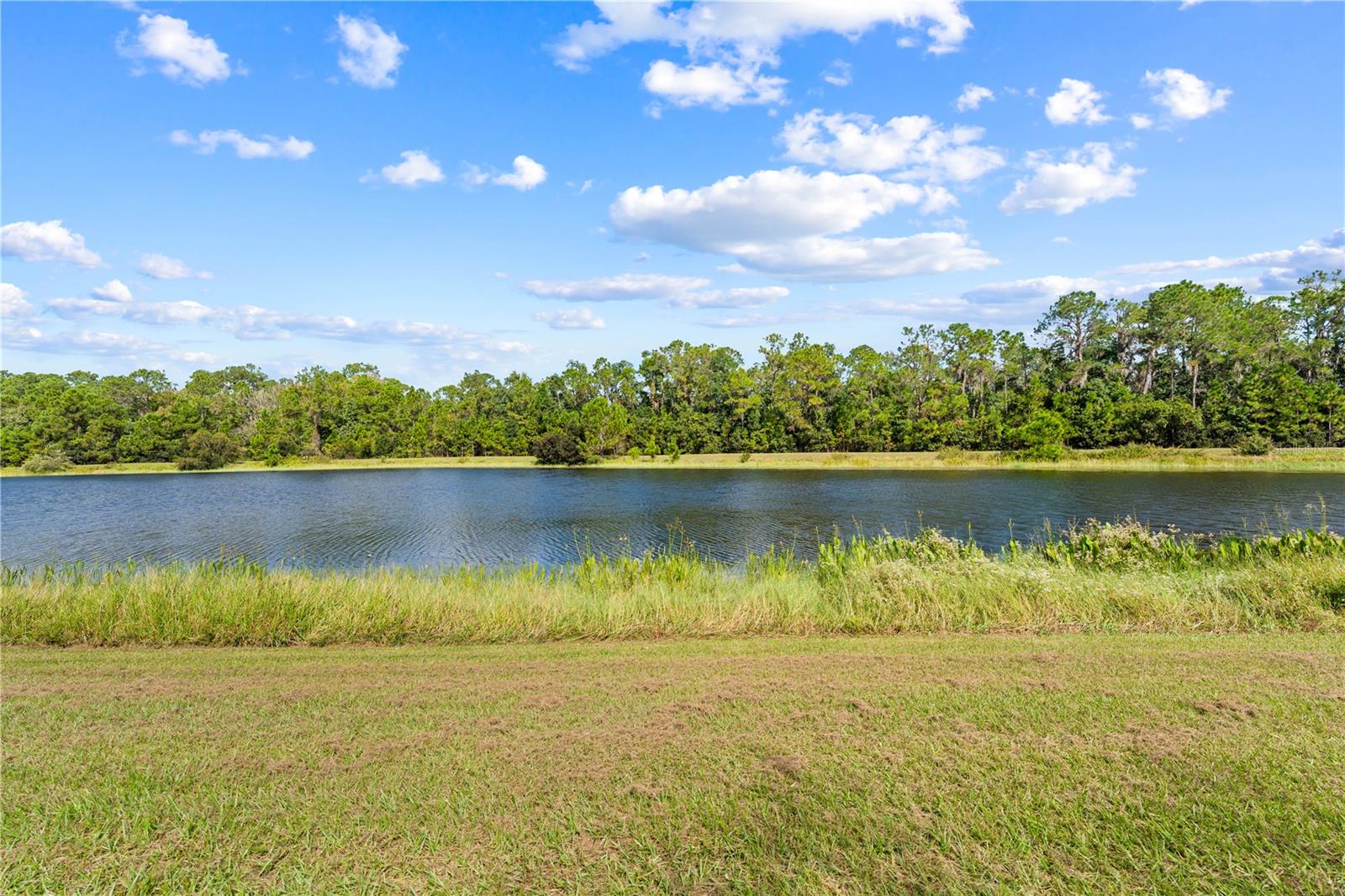 HARMONY NBHD F - Residential