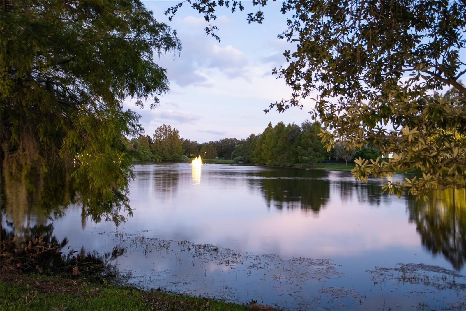 LAKE NONA ESTATES - Residential
