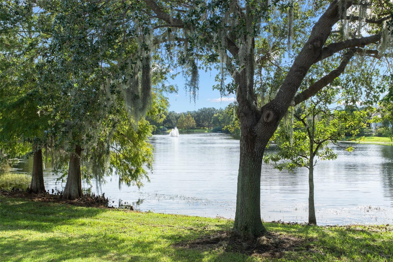 LAKE NONA ESTATES - Residential