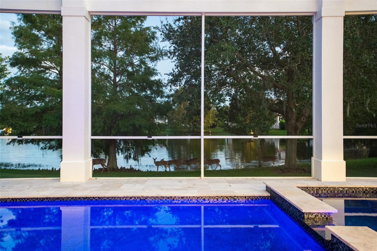 LAKE NONA ESTATES - Residential