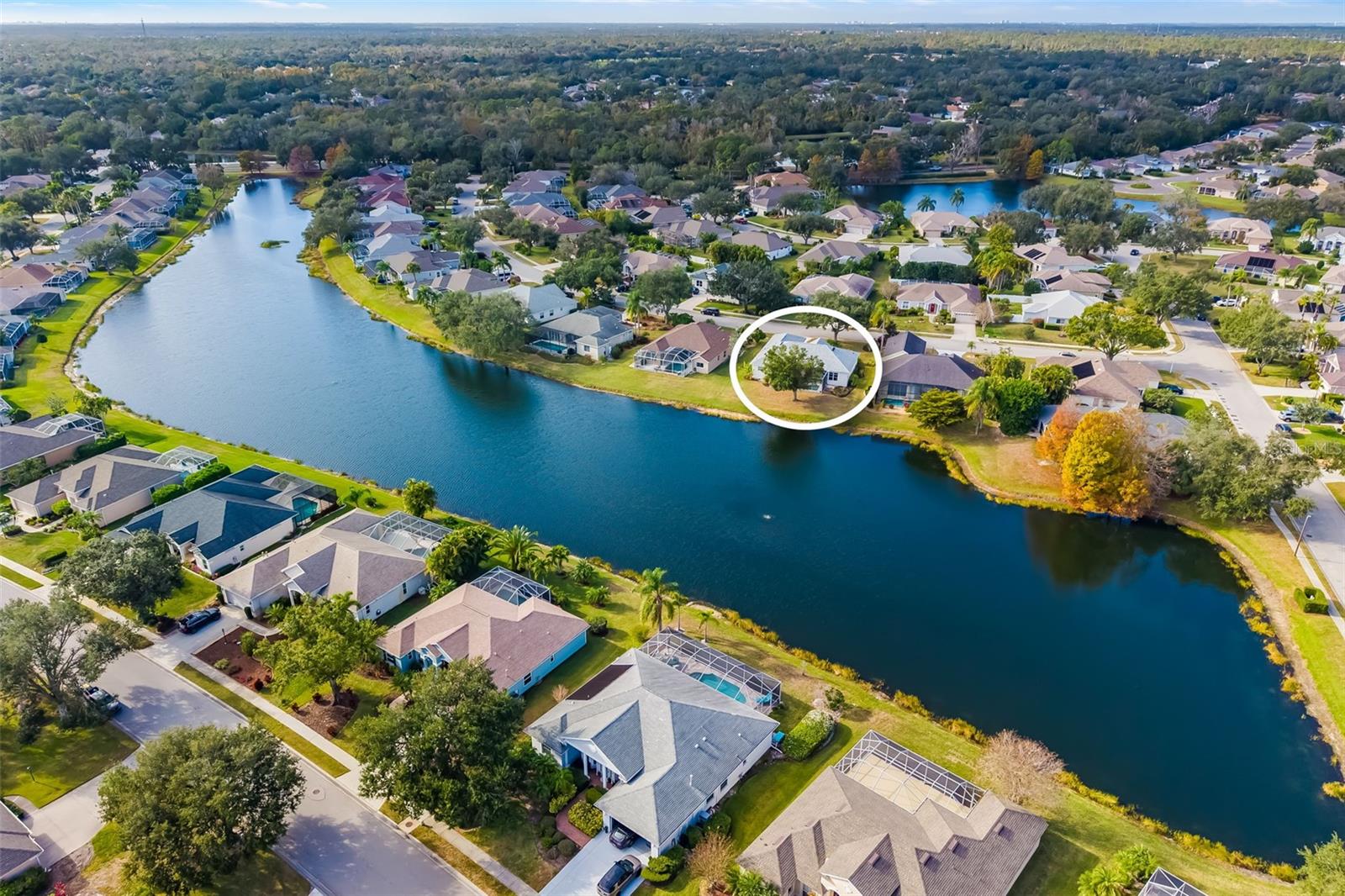 12002 SOFT RUSH TERRACE