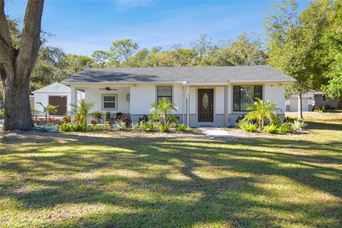 A home in TEMPLE TERRACE