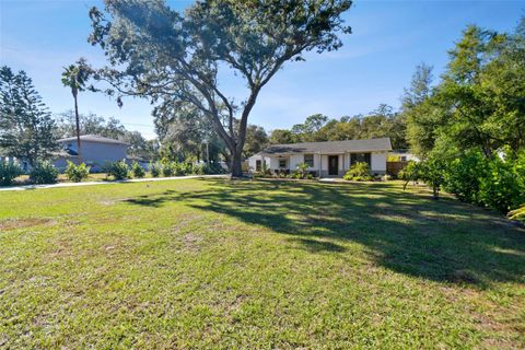 A home in TEMPLE TERRACE