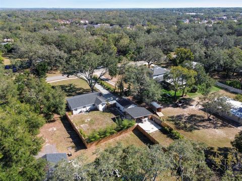 A home in TEMPLE TERRACE