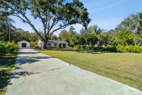 A home in TEMPLE TERRACE