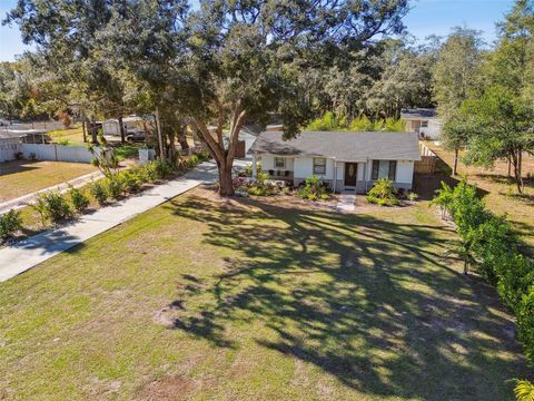 A home in TEMPLE TERRACE