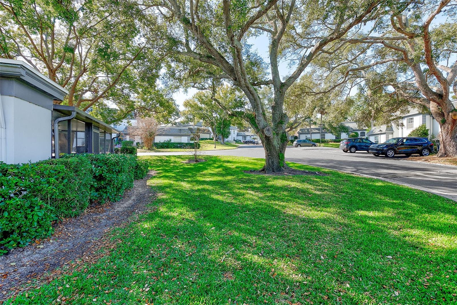 KAPOK MANOR CONDO - Residential