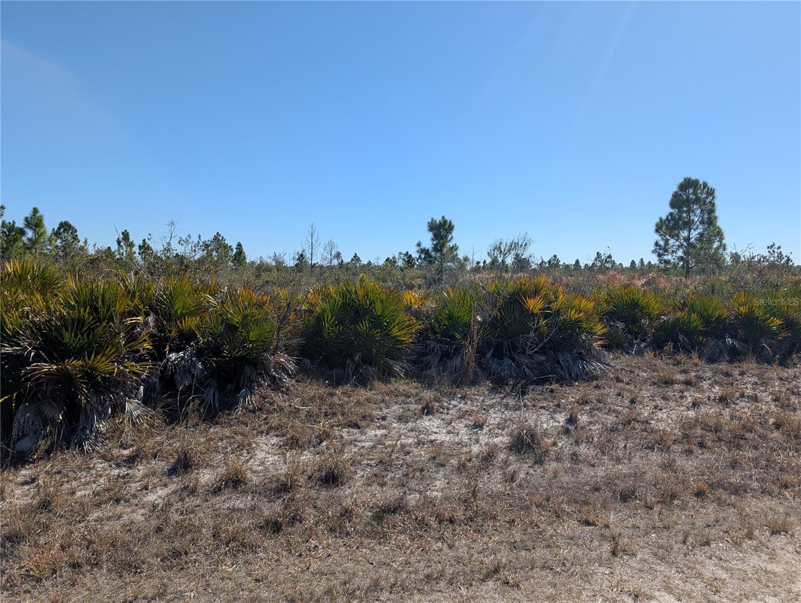 INDIAN LAKE ESTATES - Land