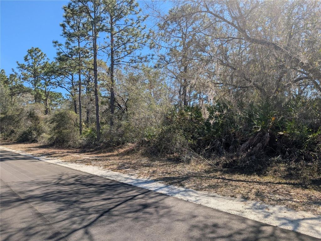 Photo of 1211 Pinnata Drive, Indian Lake Estates, FL 33855 (MLS # P4937903)