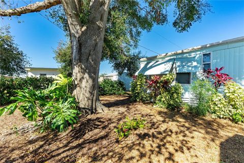 A home in ZEPHYRHILLS