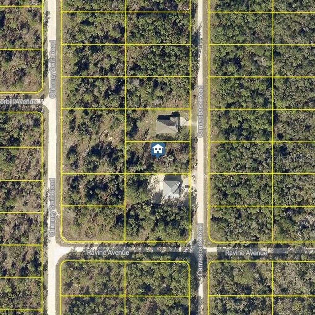 Photo of 16 Canvasback Road, Weeki Wachee, FL 34614 (MLS # W7883253)