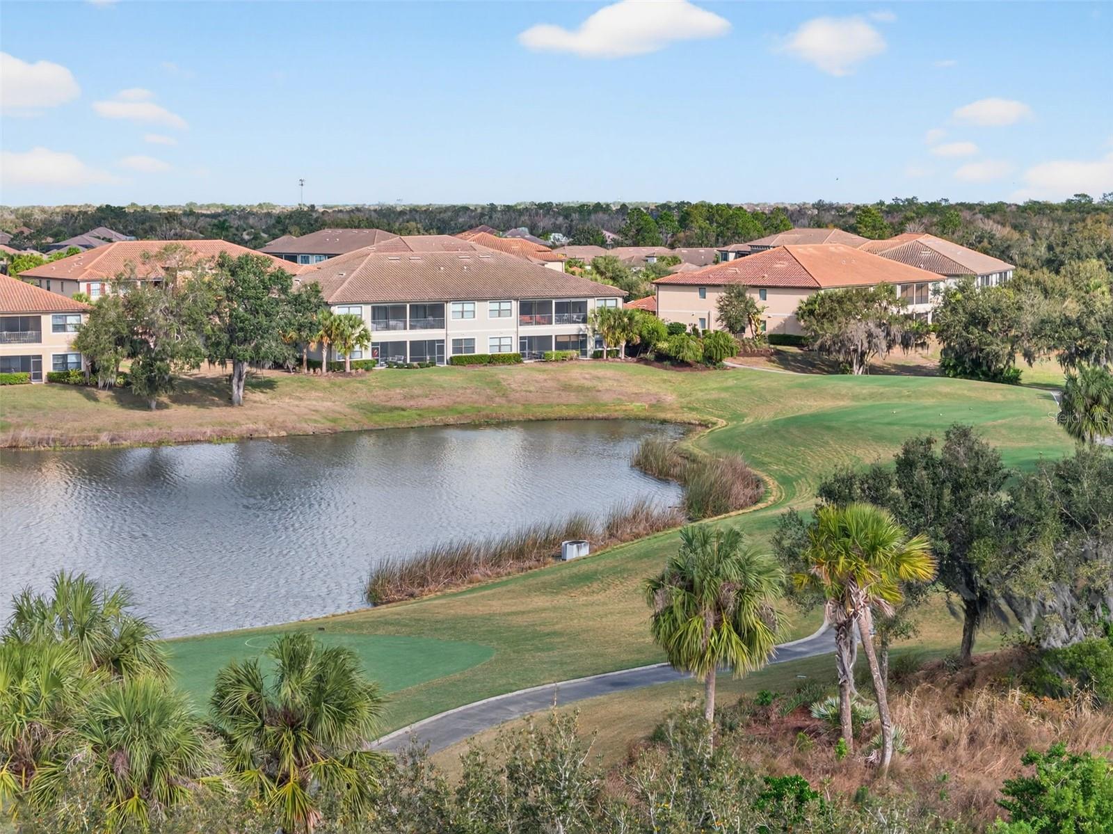BACCIANO III AT ESPLANADE LAKEWOOD RANCH - Residential