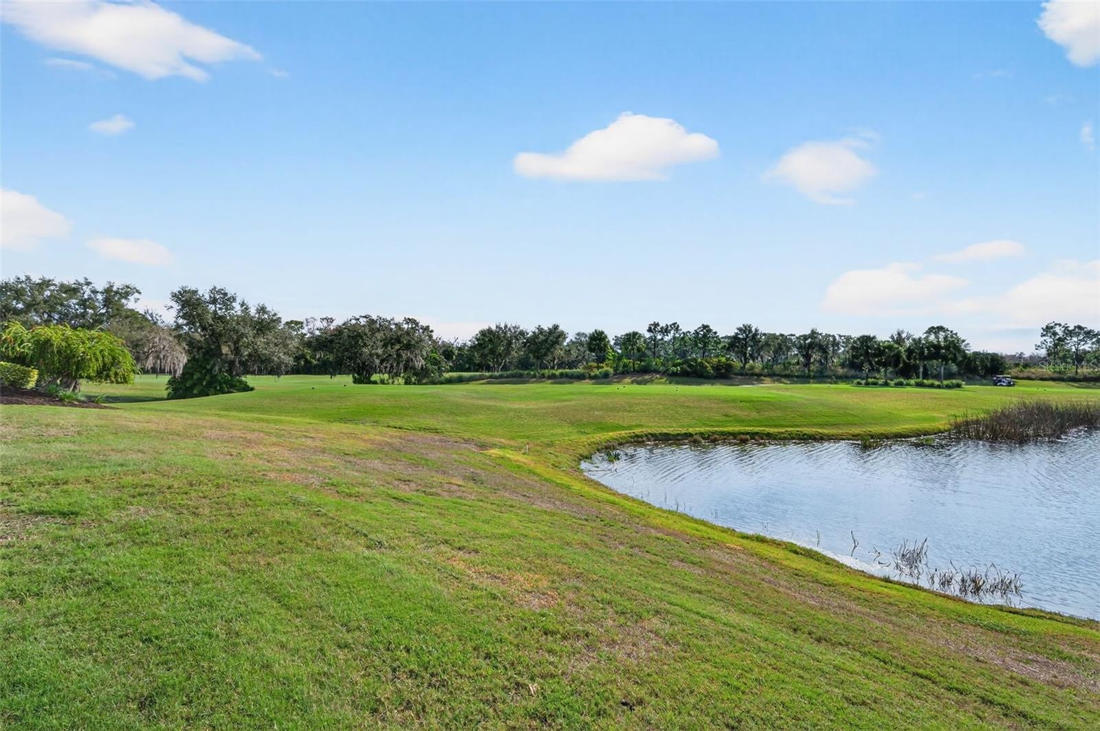 BACCIANO III AT ESPLANADE LAKEWOOD RANCH - Residential