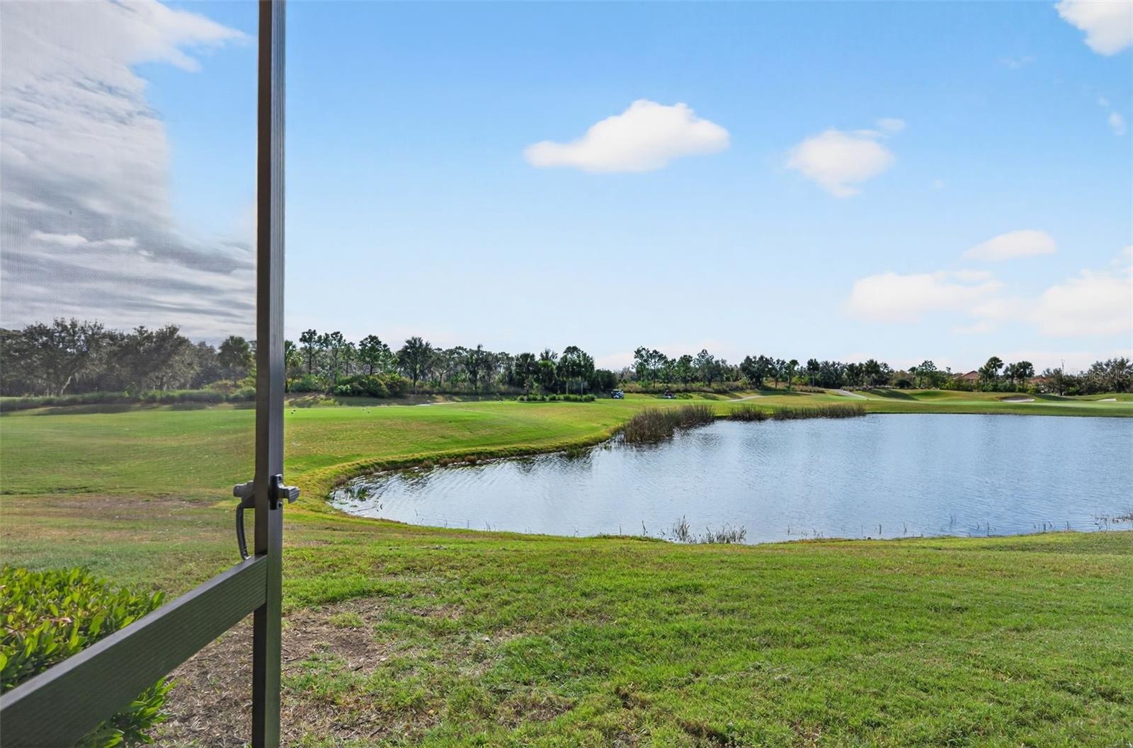 BACCIANO III AT ESPLANADE LAKEWOOD RANCH - Residential