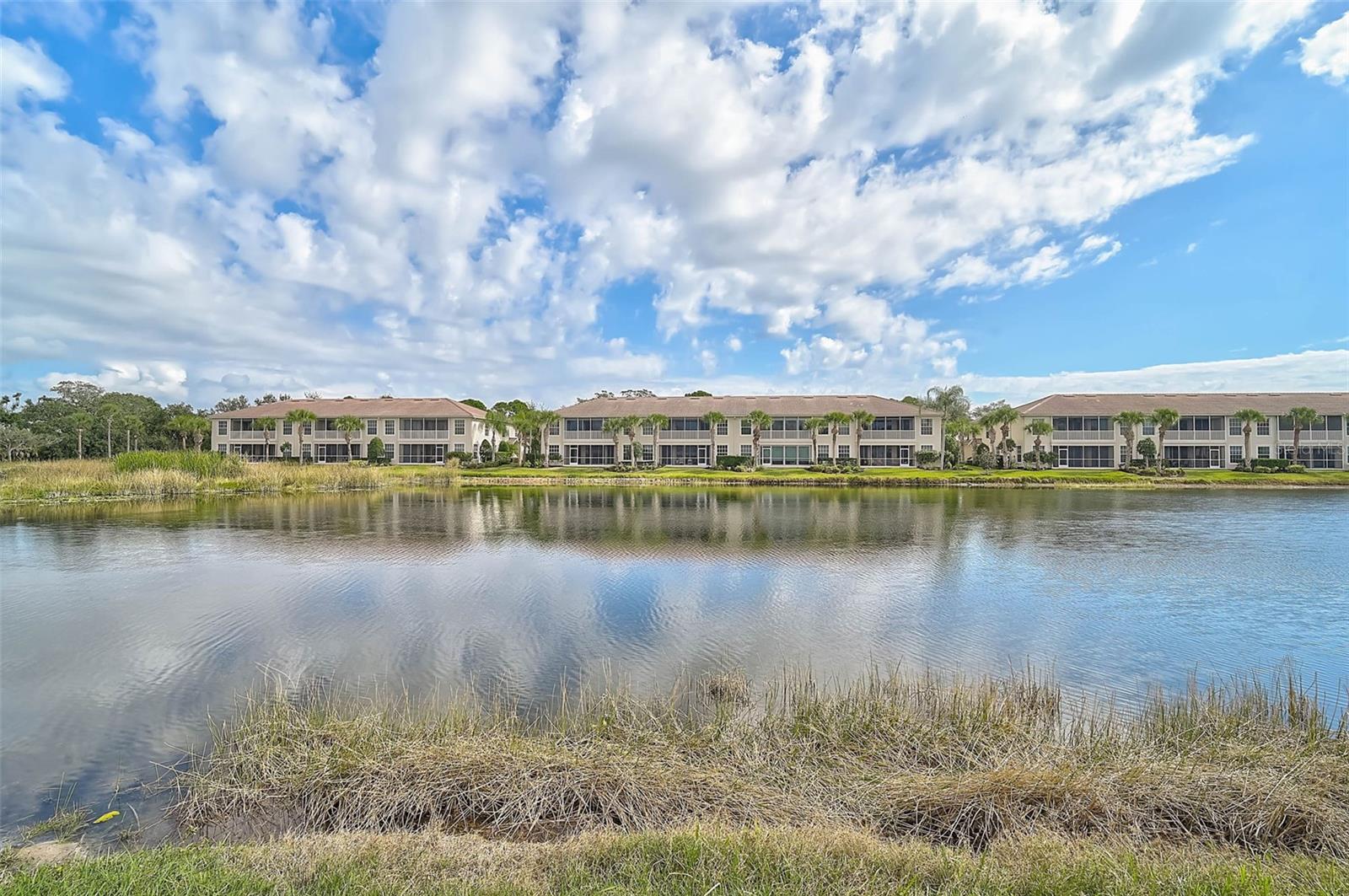 ARIELLE ON PALMER RANCH SEC 1 - Residential