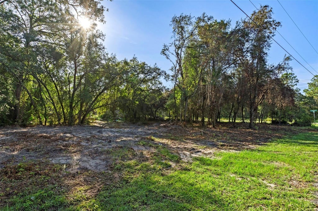 Photo of 6669 W Cardinal Street, Homosassa, FL 34446 (MLS # W7889547)
