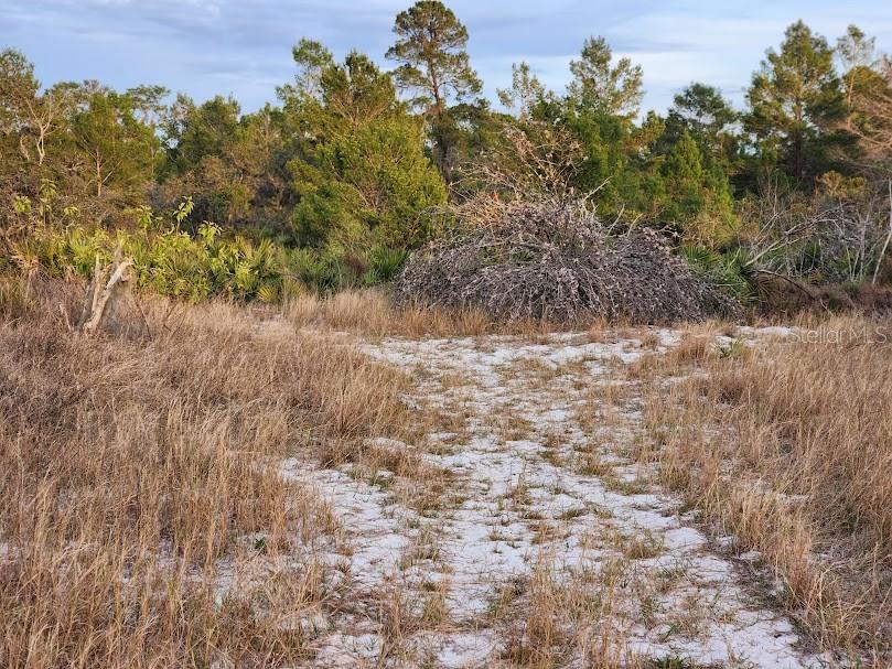 OAKRIDGE ESTATES - Land