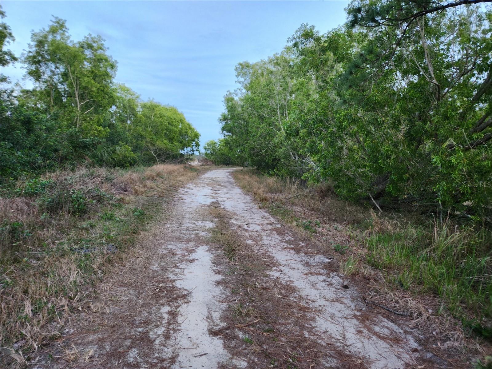 W FROSTPROOF ROAD Lot 17