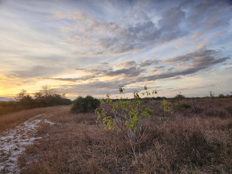 OAKRIDGE ESTATES - Land