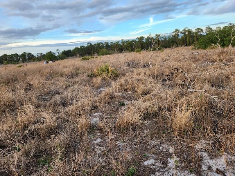 OAKRIDGE ESTATES - Land