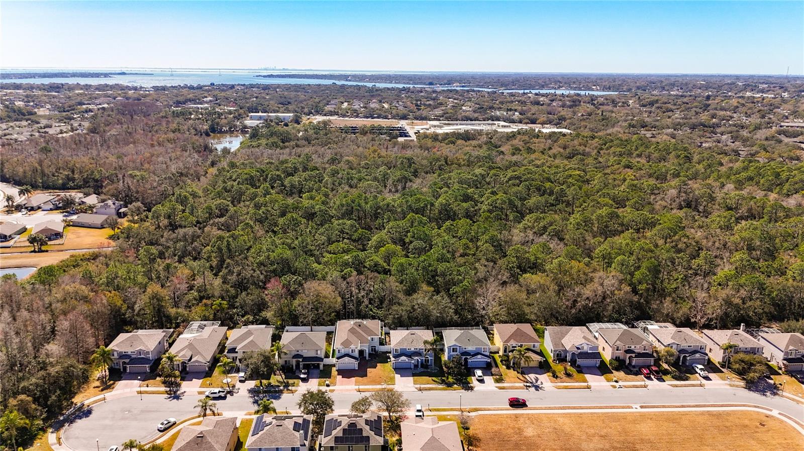 BAY ARBOR - Residential