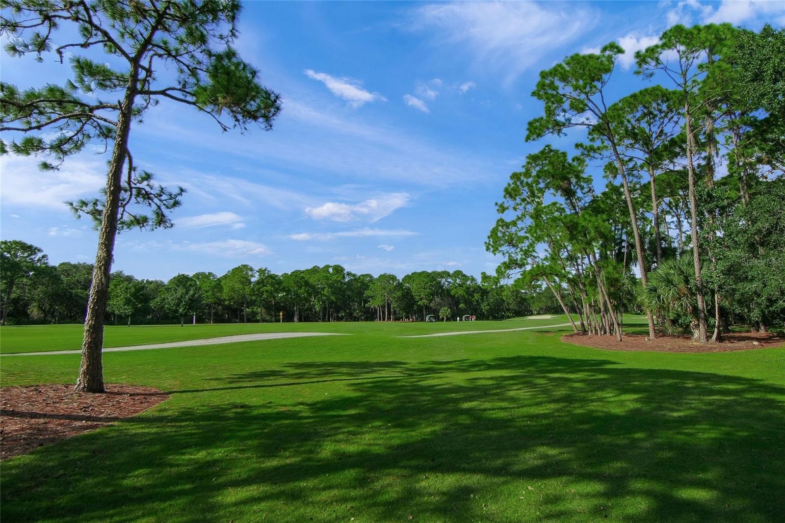 THE MEADOWS/CHANDLERS FORDE - Residential