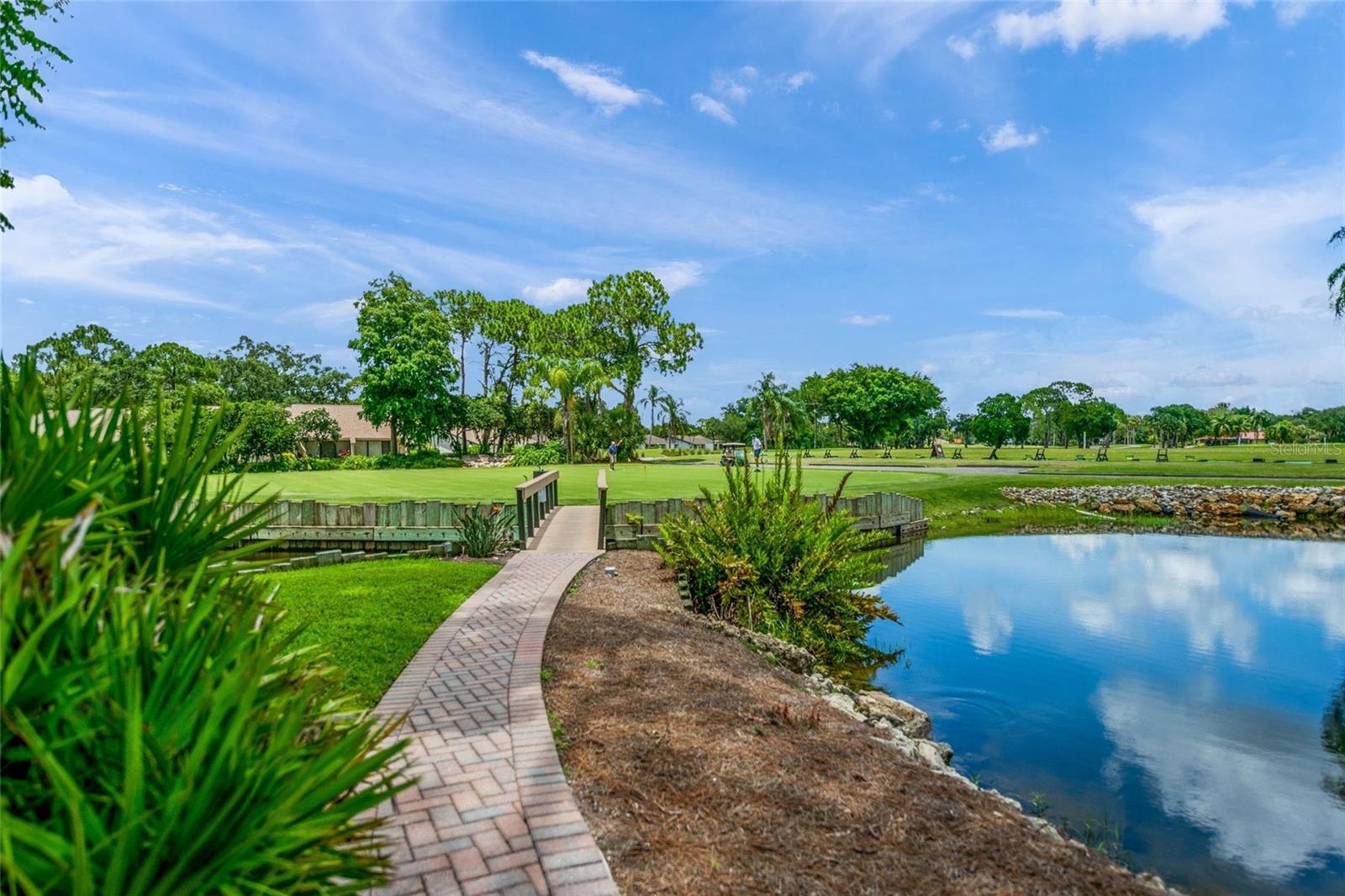 THE MEADOWS/CHANDLERS FORDE - Residential