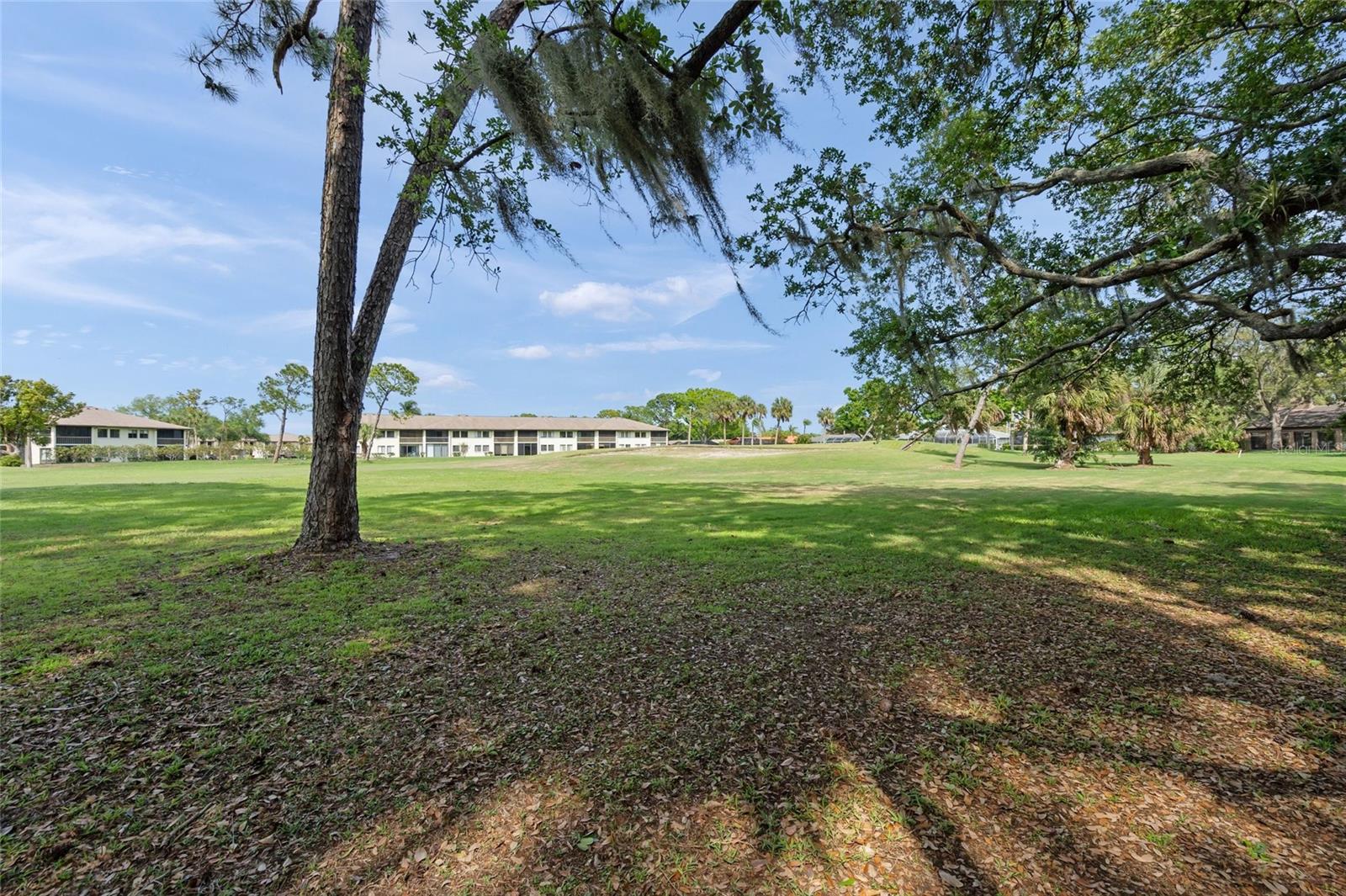 THE MEADOWS/CHANDLERS FORDE - Residential