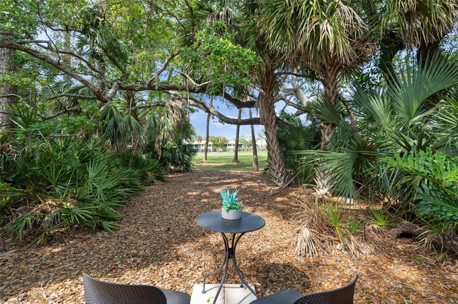 THE MEADOWS/CHANDLERS FORDE - Residential