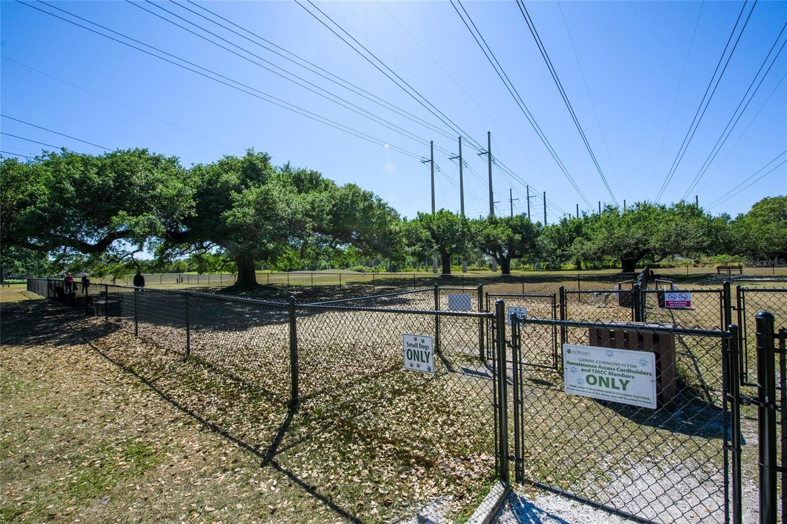 THE MEADOWS/CHANDLERS FORDE - Residential