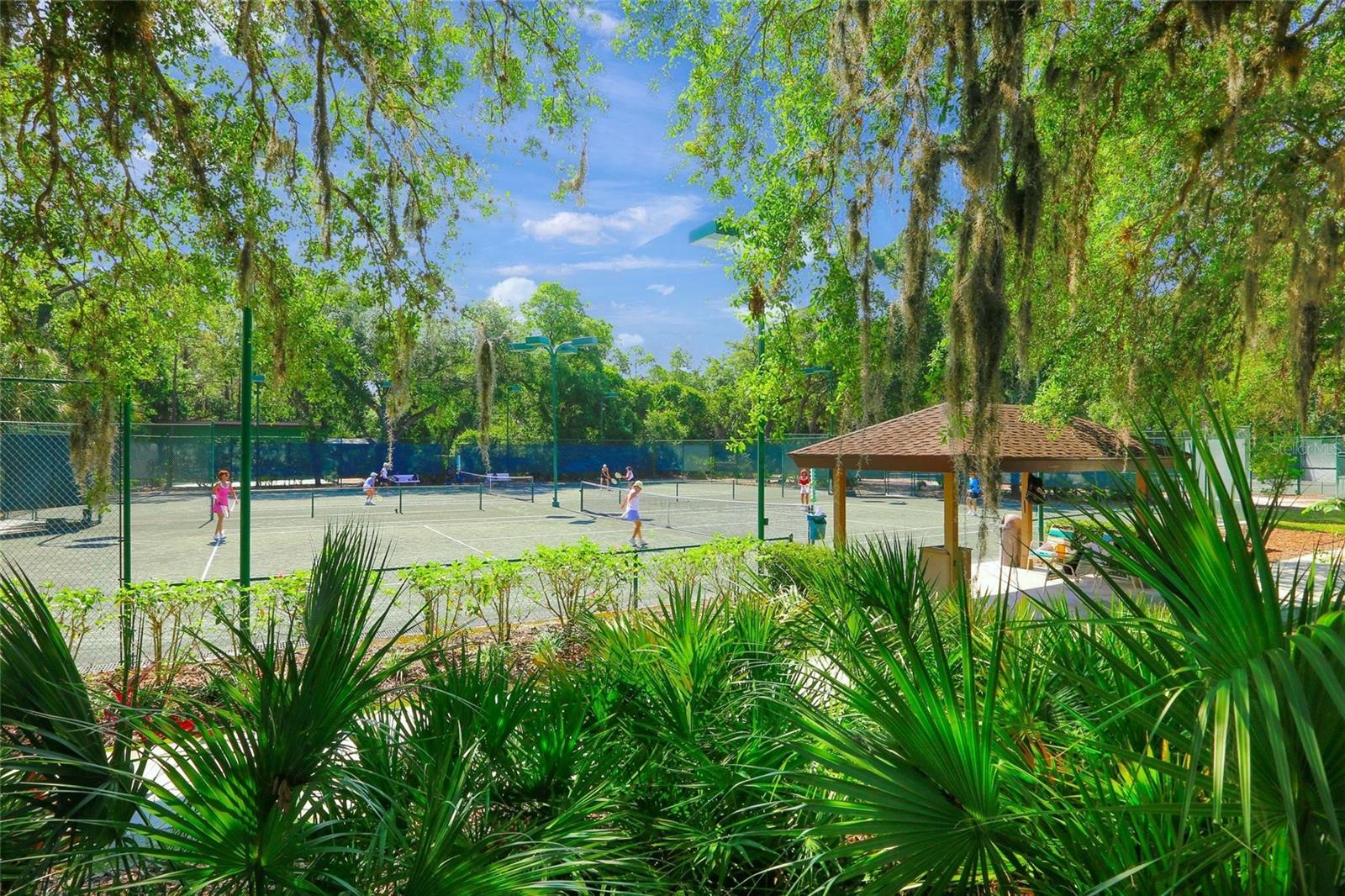 THE MEADOWS/CHANDLERS FORDE - Residential