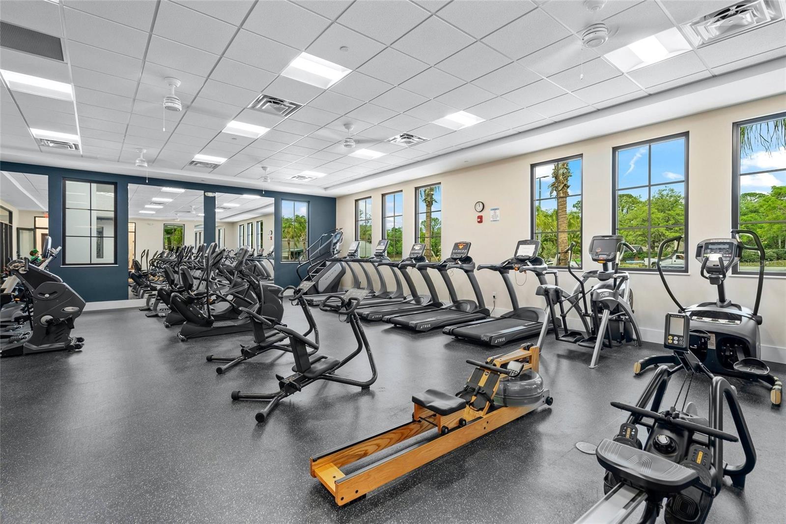 THE MEADOWS/CHANDLERS FORDE - Residential