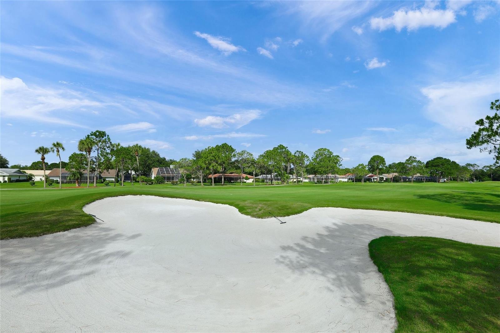 THE MEADOWS/CHANDLERS FORDE - Residential